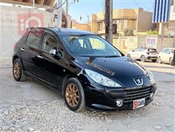 بيجو 307